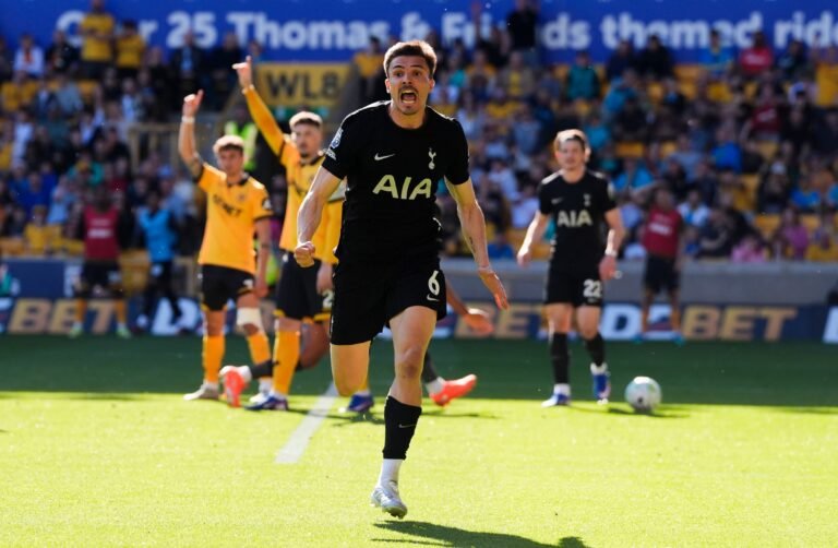 Wolverhampton vs Tottenham Match Score 0-1 in the Premier League