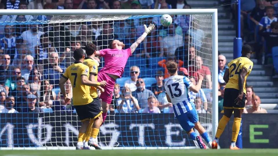 Brighton vs Wolves Match Score 3-0 in the Premire League